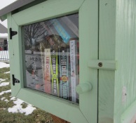 01_LittleFreeLibrary_cropped