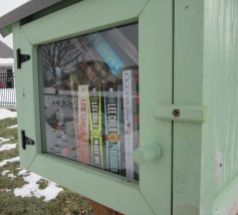 01_LittleFreeLibrary_cropped